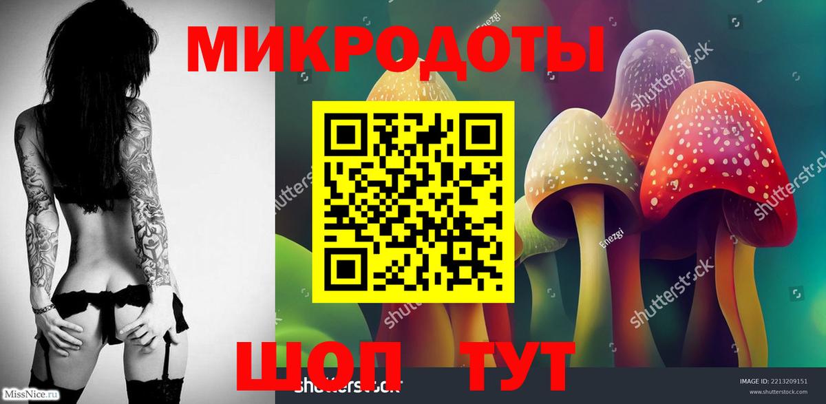 Белово  Псилоцибиновые грибы Psilocybe  Вход с VPN 
